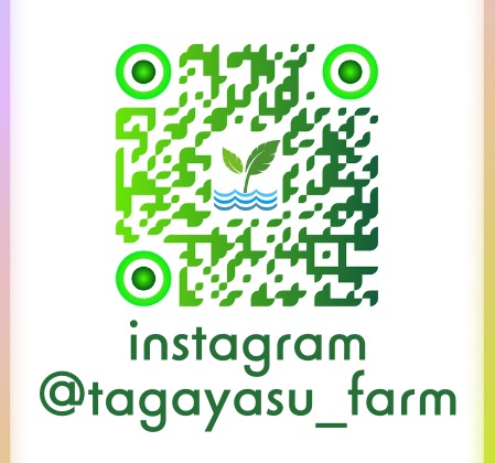 インスタ