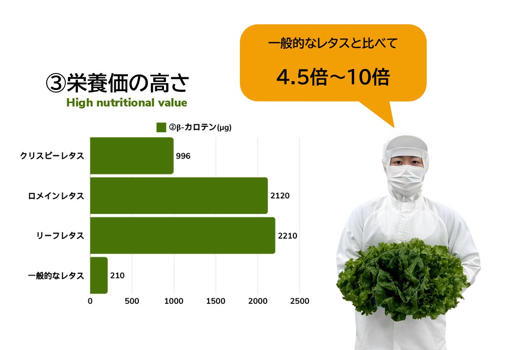 栄養成分表