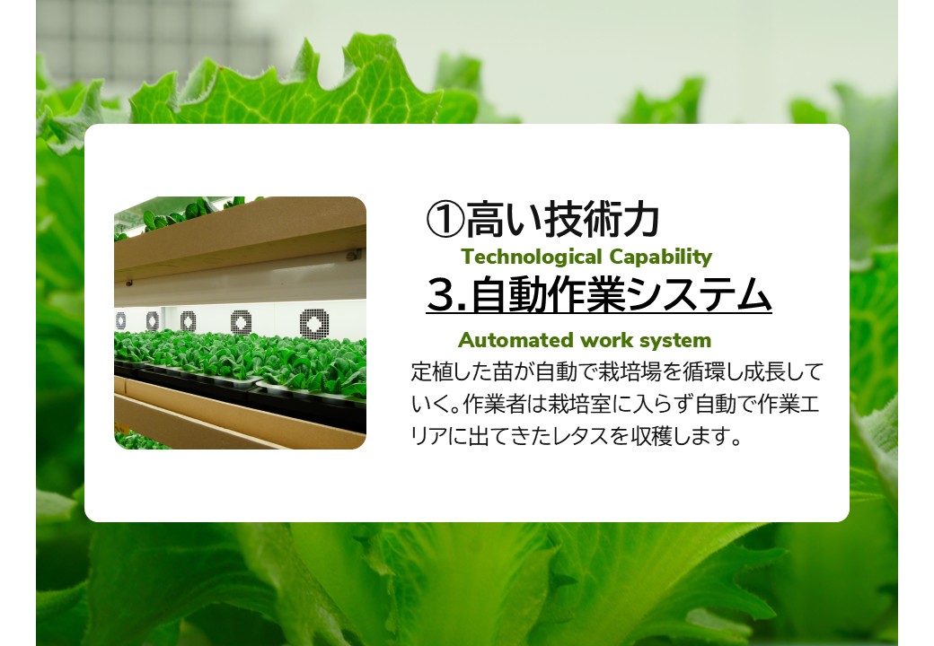自動作業システム