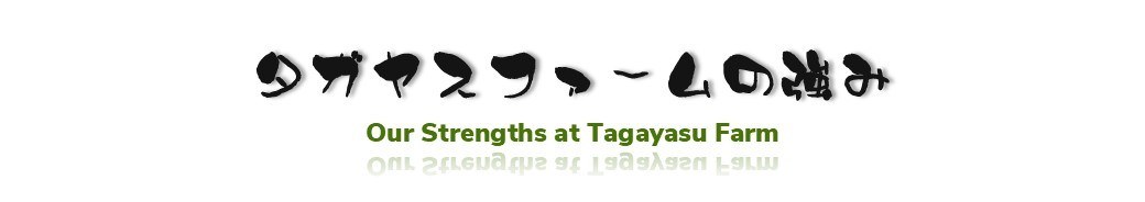 タガヤスファームの強み